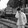 paomianer-davi-