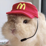 shimengchongleyuanya