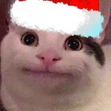 nihaoztz