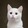 youge______
