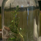 乖宝宝爱听故事