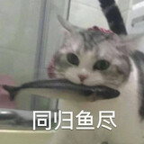 duomixiaobaoan