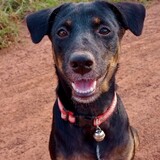 ้เตย เต๊ย