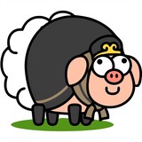 baoxiaoyang