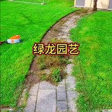 lv____yuanyi