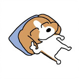 woyuandeshuijuezz