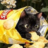 Quốc Hưng Trần_6806