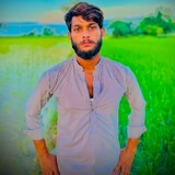 Haider Mayo