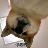 bucaimituxiaoshutong
