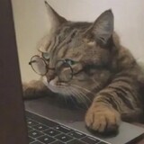 ___lixiaomashao