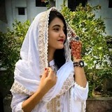 Md Hashib
