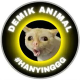 DemikAnimal Official