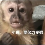 xiashuidaohouzi