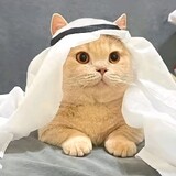 bili_1531124033
