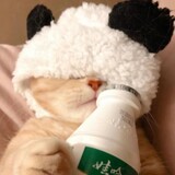 huhushuoju