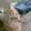 mosantiantiantian-