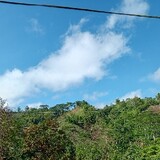 Maricel Lingganay