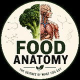 Food Anatomy