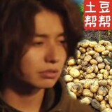 fengyanyin