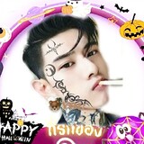 ผ.ส.Ms. i chi guns.