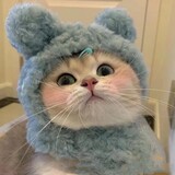 xiao___aiyule