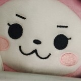 zhouyuruoshidou