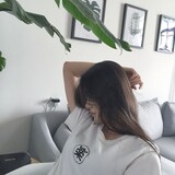 shansidada