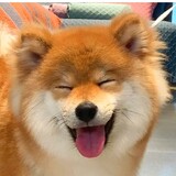 Xiaoxuejintianyeyaohaohaoxuexi