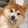 yizhiyuguo
