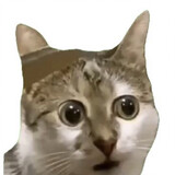 shi___memejuchang