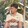 Sabongph30