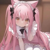 ninidie-shujiaban