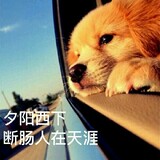 duanzhangshishu