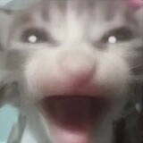 shangyingsanjiaozhou