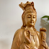mudiaoxiaolin
