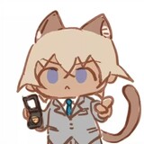 fengkaobiguotat