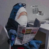 niuniuniuniuniuniudi