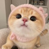 shicaomei____u
