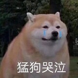 shiqrbushiqr