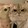 juyoujun___meme