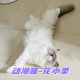 Dongmanmiao-huaxiaorou