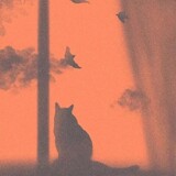 luoqiuji___i