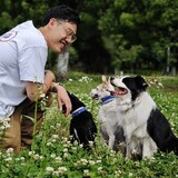 wangdefuwonderwoof
