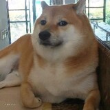 Nänthāpöng Tïtâràm