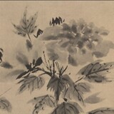 heilongwangbaerzhake