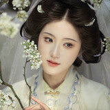 shidishiqiua