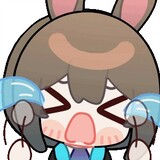 amgpiehuanshi