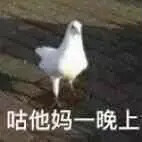 fengjingyezhangming