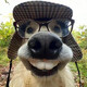 creator avatar