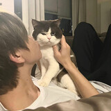 bule_hooope